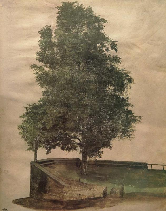 Albrecht Durer Linden Tree on a Bastion oil painting picture